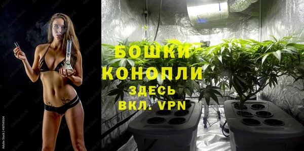 сатива Волоколамск