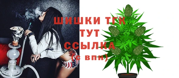 сатива Волоколамск